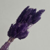 Фаларис (30 шт) - #5 Лавандовый